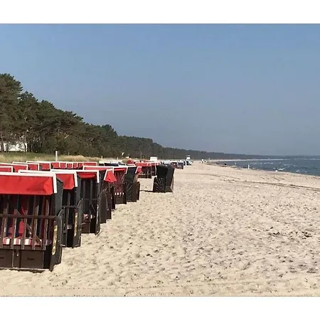 Sandpiper Vogue * Binz